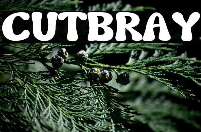 CUTBRAY Example 1
