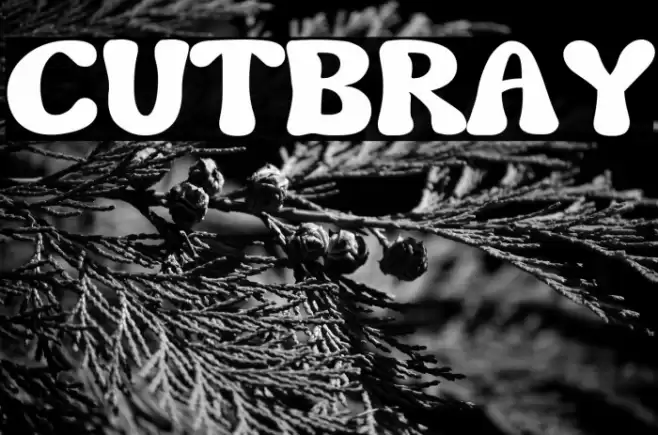 CUTBRAY Font examples