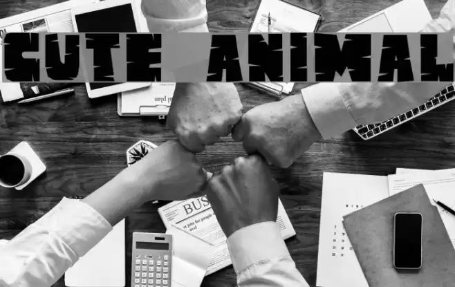 CUTE ANIMAL Font examples