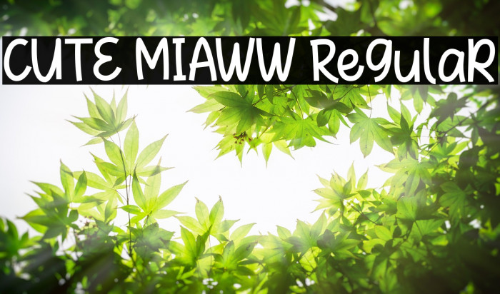 CUTE MIAWW Regular Example 1