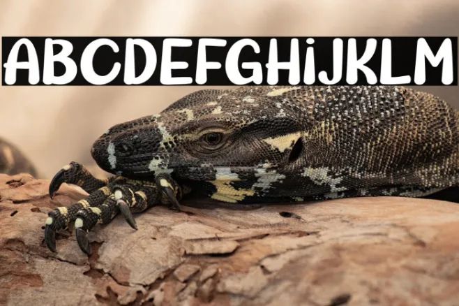 CUTEFROG-Regular Example 1