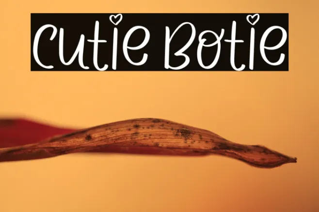 CUTIE BOTIE Example 1