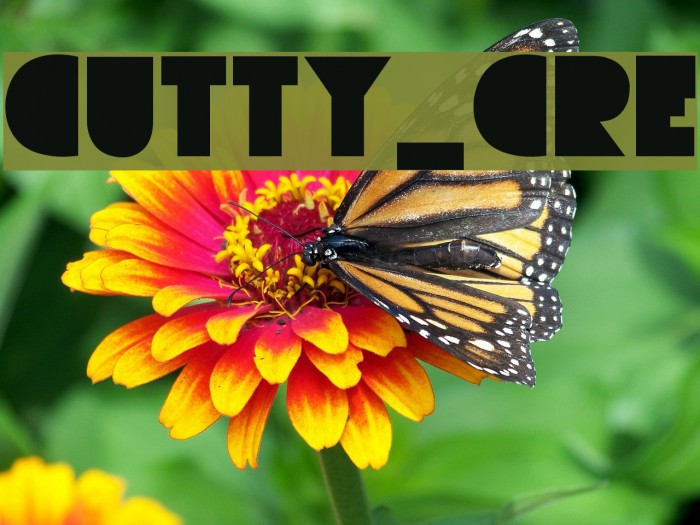 CUTTY_CRE لخطوط تنزيل examples