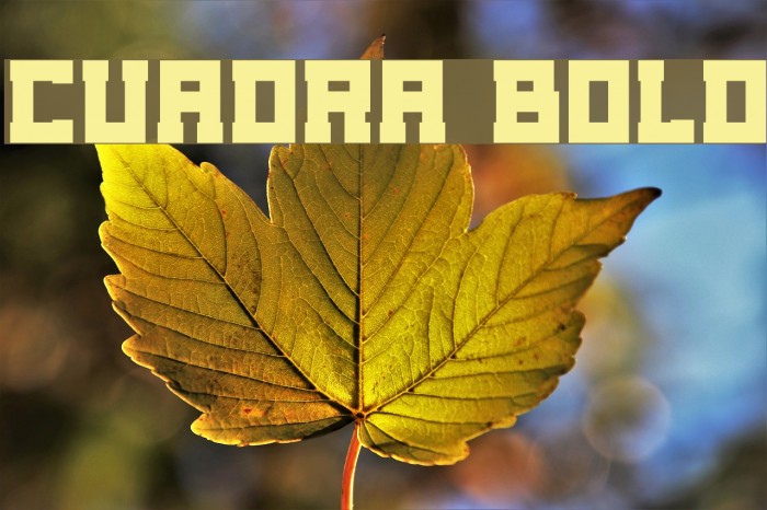 Cuadra Bold Caratteri examples
