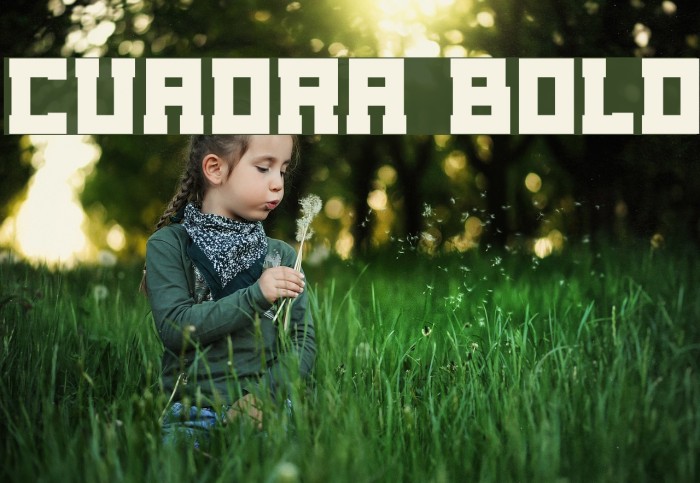 Cuadra Bold Caratteri examples
