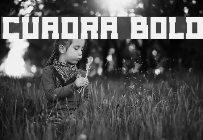 Cuadra Bold Font examples