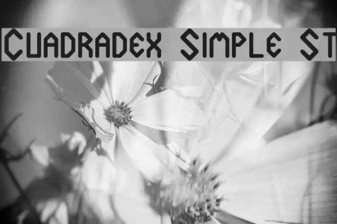 Cuadradex Simple St Font examples
