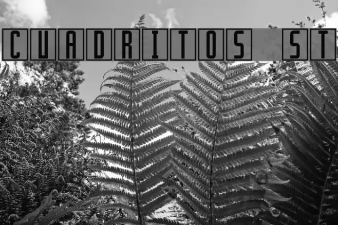 Cuadritos St Font examples