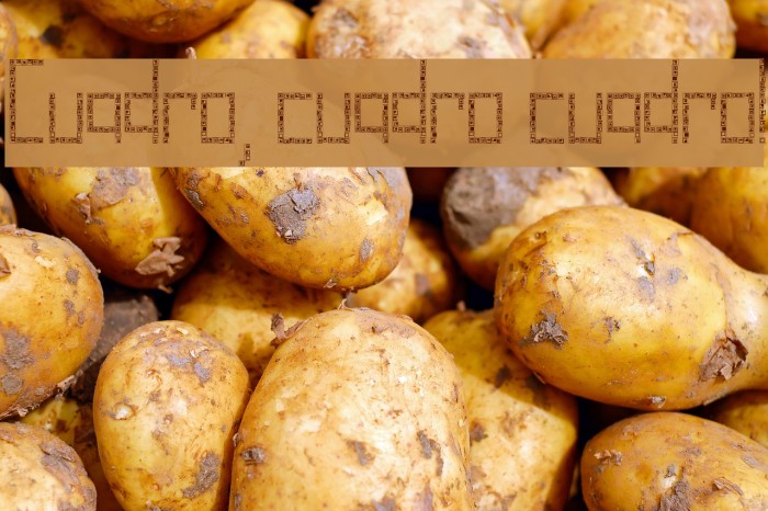 Cuadro, cuadro cuadro! Font examples
