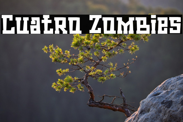 Cuatro Zombies Example 1