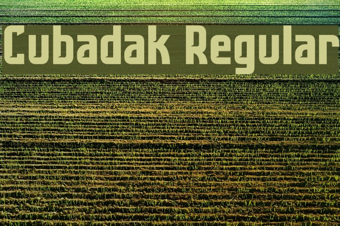 Cubadak Regular Example 2