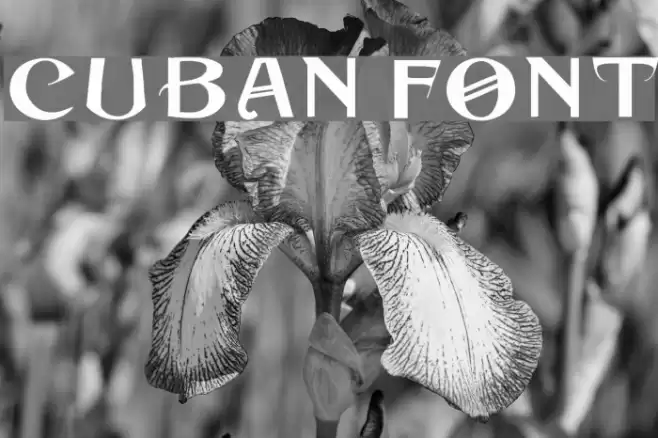 Cuban Font examples