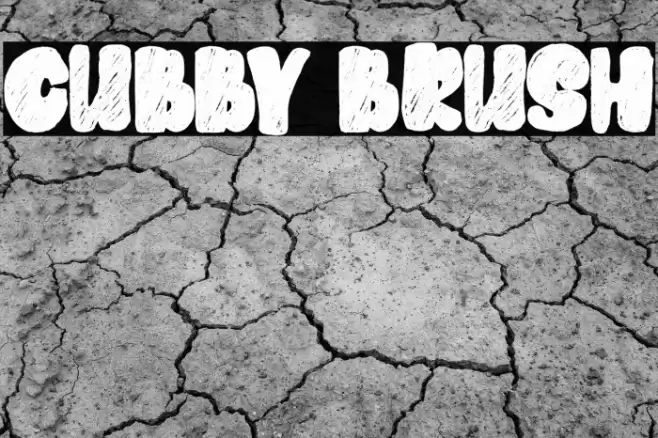 Cubby Brush Font examples