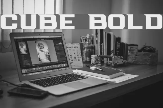 Cube Bold Font examples