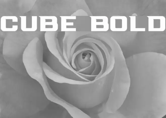 Cube Bold Font examples
