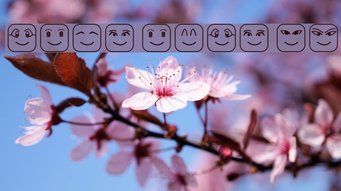 Cube Face ST Font examples