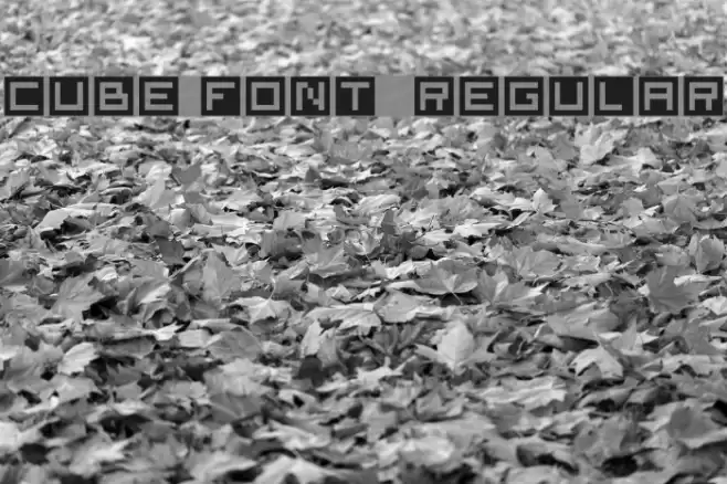 Cube Font Regular Font examples