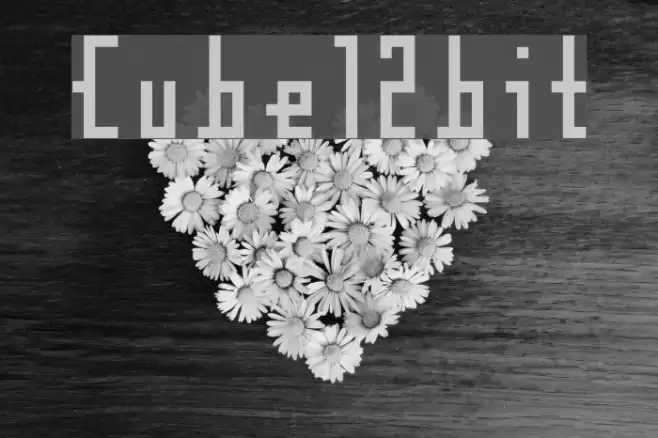 Cube12bit Font examples