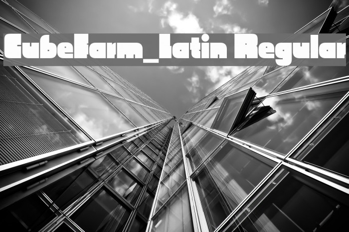 CubeFarm_Latin Regular Font examples