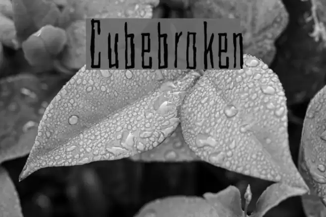 Cubebroken Font examples