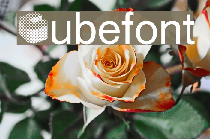 Cubefont Font examples