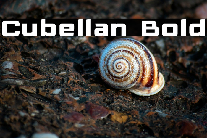 Cubellan Bold Example 3