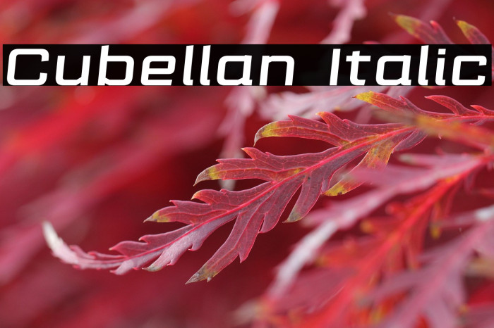 Cubellan Italic Example 3