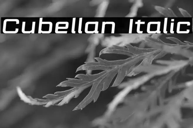 Cubellan Italic Font examples