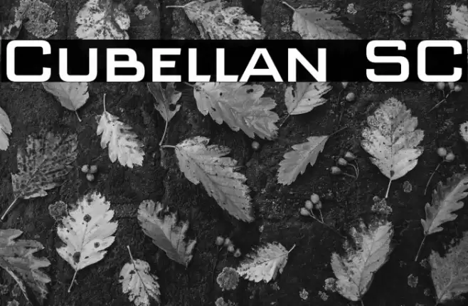 Cubellan SC Font examples