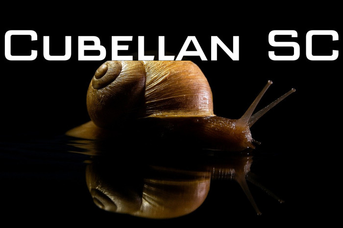 Cubellan SC Example 3