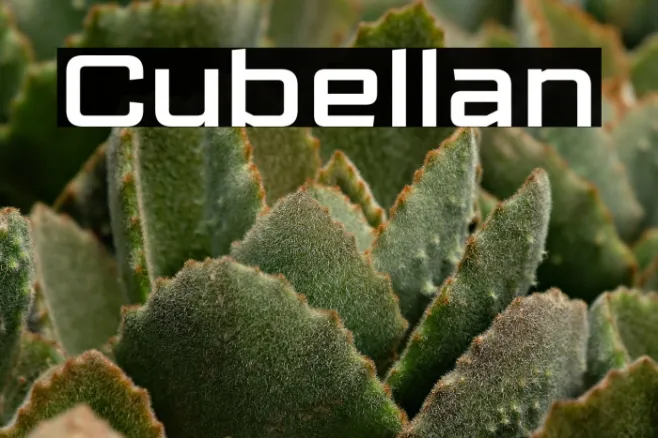 Cubellan Example 3