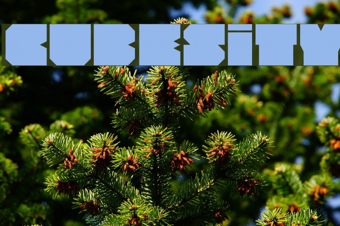 Cubesity Font examples