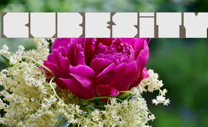 Cubesity Font examples