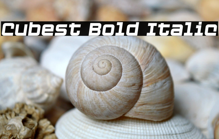 Cubest Bold Italic Example 1