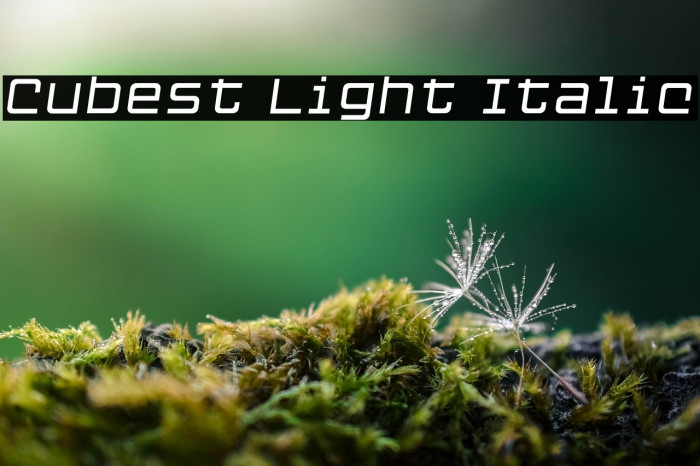 Cubest Light Italic Example 3
