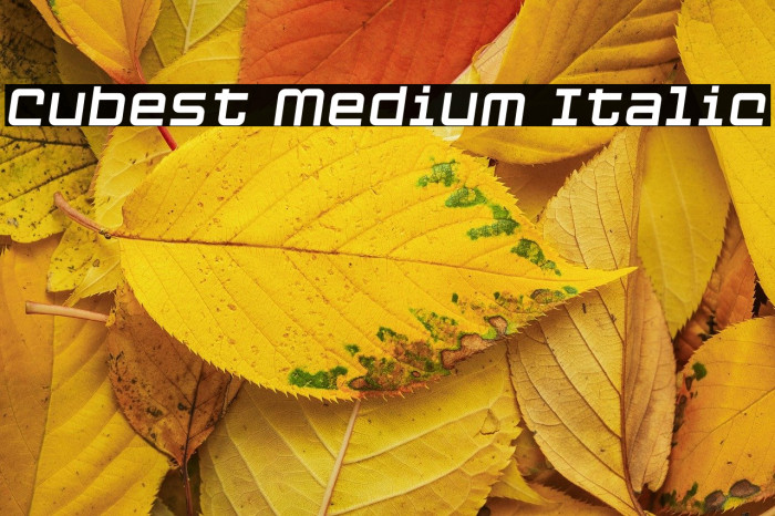 Cubest Medium Italic Example 1
