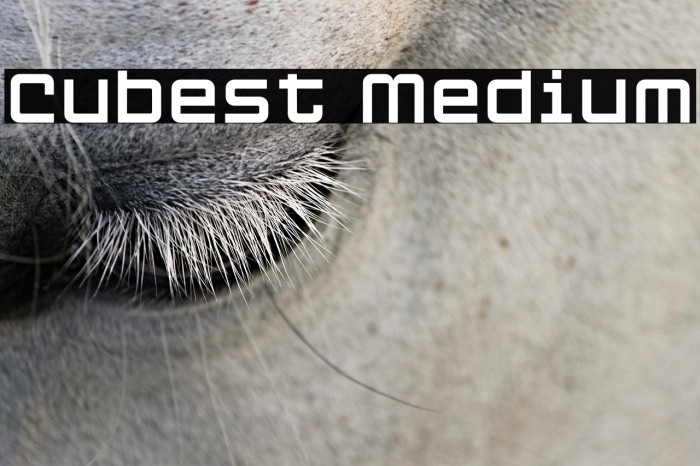 Cubest Medium Example 1