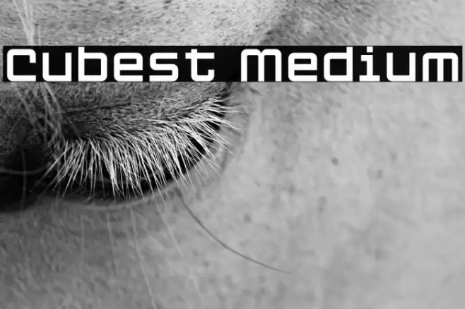 Cubest Medium Font examples
