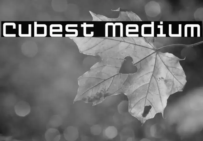 Cubest Medium Font examples