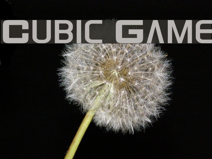 Cubic Game Example 1