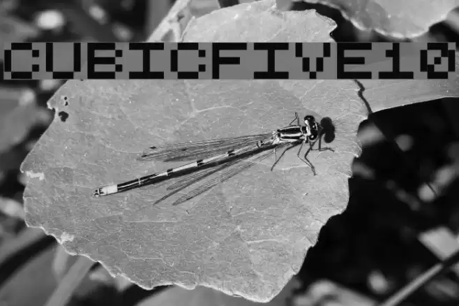 CubicFive10 Fonte examples