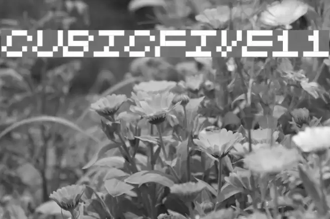 CubicFive11 Font examples