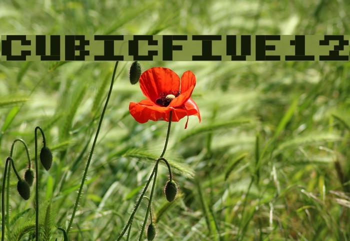 CubicFive12 Font examples
