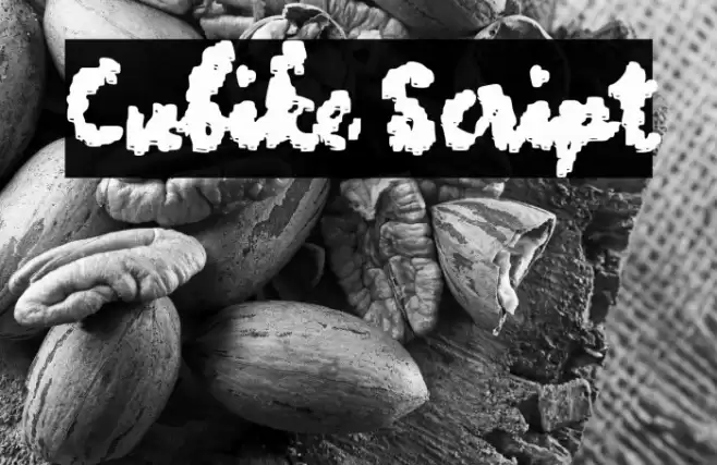 Cubike Script Font examples