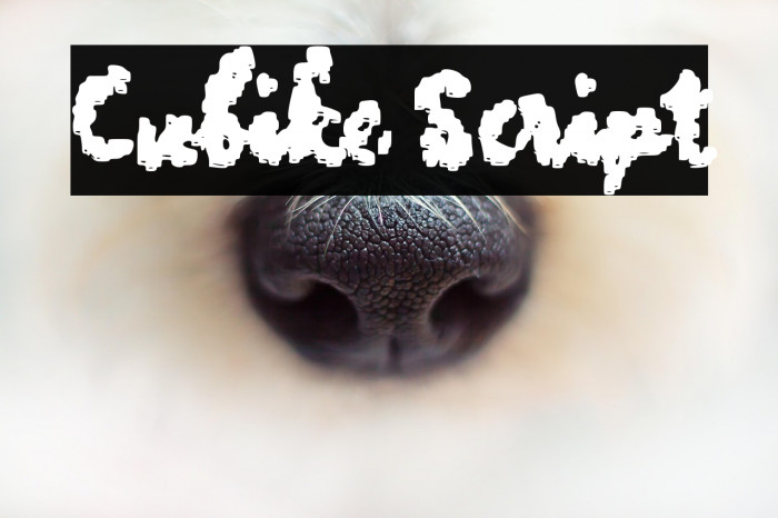 Cubike Script Example 2