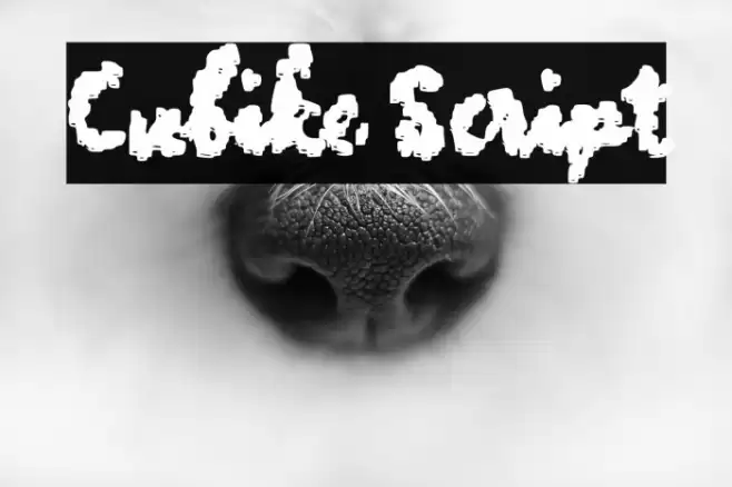Cubike Script Font examples