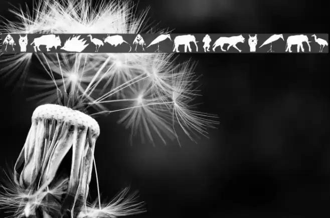 CubismCreatures Font examples