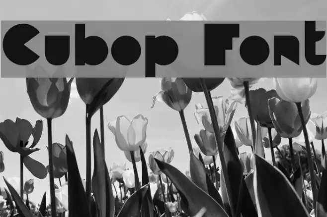 Cubop Font examples