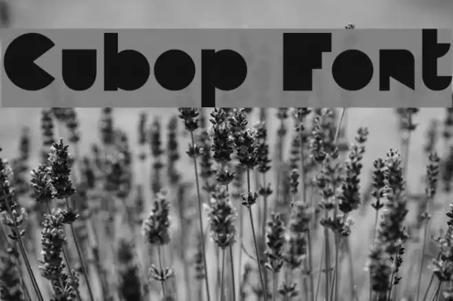 Cubop Font examples