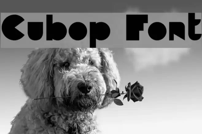Cubop Font examples